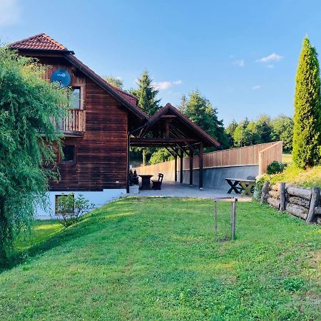 Willa Family House Mozirje Zewnętrze zdjęcie